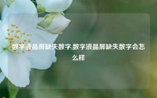 数字液晶屏缺失数字,数字液晶屏缺失数字会怎么样