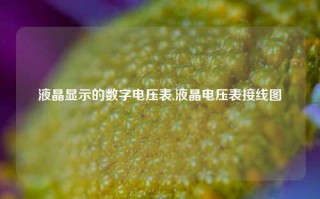 液晶显示的数字电压表,液晶电压表接线图