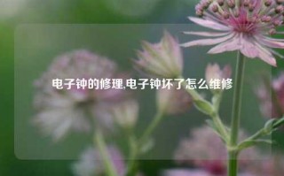 电子钟的修理,电子钟坏了怎么维修