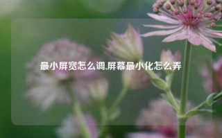 最小屏宽怎么调,屏幕最小化怎么弄