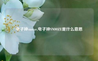 电子钟snooze,电子钟SNOOZE是什么意思