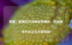 英媒：越南芯片封测业务增长，供给侧碎片化正在分裂市场