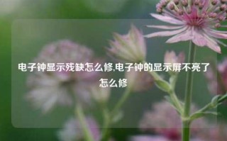 电子钟显示残缺怎么修,电子钟的显示屏不亮了怎么修