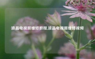 液晶电视屏维修教程,液晶电视屏维修视频