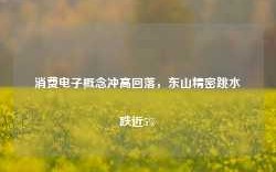 消费电子概念冲高回落，东山精密跳水跌近5%