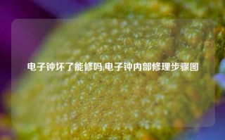 电子钟坏了能修吗,电子钟内部修理步骤图