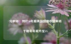 分析师：预计10年期美国国债收益率将于明年年底升至5%