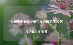 台积电的最新业绩引发市场关注 《芯片法案》生变数