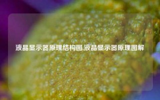 液晶显示器原理结构图,液晶显示器原理图解