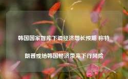 韩国国家智库下调经济增长预期 称特朗普或给韩国经济带来下行风险