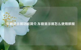 车载显示屏功能简介,车载显示屏怎么使用教程