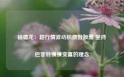 杨德龙：趁行情波动积攒好股票 坚持巴菲特慢慢变富的理念