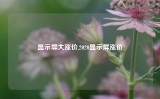 显示屏大涨价,2020显示屏涨价