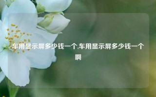 车用显示屏多少钱一个,车用显示屏多少钱一个啊