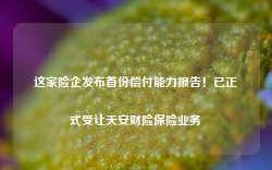 这家险企发布首份偿付能力报告！已正式受让天安财险保险业务