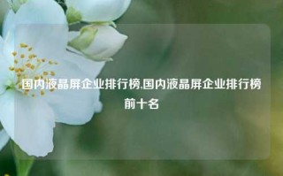 国内液晶屏企业排行榜,国内液晶屏企业排行榜前十名