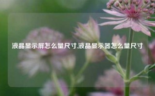 液晶显示屏怎么量尺寸,液晶显示器怎么量尺寸