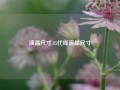 液晶尺寸,85代线液晶尺寸