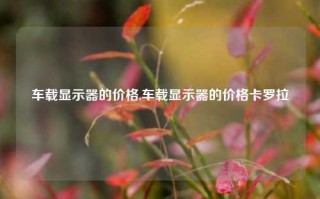 车载显示器的价格,车载显示器的价格卡罗拉