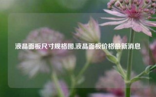 液晶面板尺寸规格图,液晶面板价格最新消息