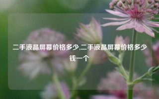 二手液晶屏幕价格多少,二手液晶屏幕价格多少钱一个