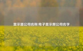 显示器公司名称,电子显示屏公司名字