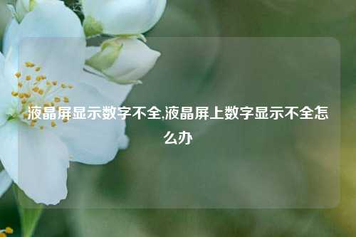 液晶屏显示数字不全,液晶屏上数字显示不全怎么办-第1张图片-缙云县凯一电子科技有限公司