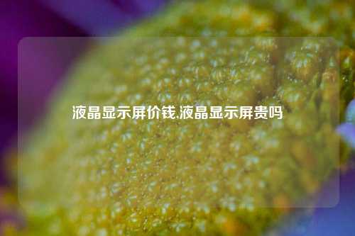 液晶显示屏价钱,液晶显示屏贵吗-第1张图片-缙云县凯一电子科技有限公司