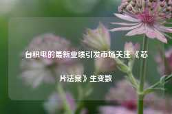 台积电的最新业绩引发市场关注 《芯片法案》生变数-第1张图片-缙云县凯一电子科技有限公司