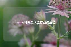 Booking将裁员以进行业务重组-第1张图片-缙云县凯一电子科技有限公司