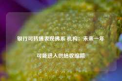 银行可转债表现佛系 机构：未来一年可能进入供给收缩期-第1张图片-缙云县凯一电子科技有限公司