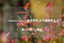 Columbia Financial盘中异动 下午盘快速上涨5.11%报19.22美元-第1张图片-缙云县凯一电子科技有限公司