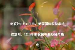 财联社11月12日电，美国国债收益率持续攀升，5至30年期收益率触及日内高点-第1张图片-缙云县凯一电子科技有限公司