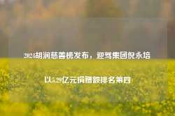 2024胡润慈善榜发布，迎驾集团倪永培以5.29亿元捐赠额排名第四-第1张图片-缙云县凯一电子科技有限公司