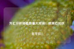 外汇分析师最新重大预测：欧美恐将跌至平价！-第1张图片-缙云县凯一电子科技有限公司