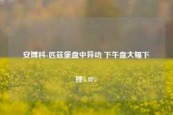 安博科-匹兹堡盘中异动 下午盘大幅下挫5.48%-第1张图片-缙云县凯一电子科技有限公司