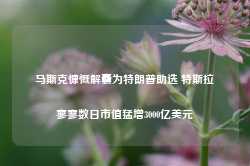 马斯克慷慨解囊为特朗普助选 特斯拉寥寥数日市值猛增3000亿美元-第1张图片-缙云县凯一电子科技有限公司