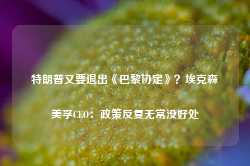 特朗普又要退出《巴黎协定》？埃克森美孚CEO：政策反复无常没好处-第1张图片-缙云县凯一电子科技有限公司