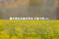 霍夫纳尼安盘中异动 大幅下跌5.10%-第1张图片-缙云县凯一电子科技有限公司