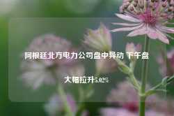 阿根廷北方电力公司盘中异动 下午盘大幅拉升5.02%-第1张图片-缙云县凯一电子科技有限公司