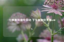 兰亭集势盘中异动 下午盘股价大涨6.00%-第1张图片-缙云县凯一电子科技有限公司