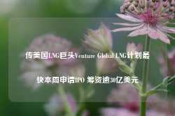 传美国LNG巨头Venture Global LNG计划最快本周申请IPO 筹资逾30亿美元-第1张图片-缙云县凯一电子科技有限公司