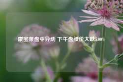 康宝莱盘中异动 下午盘股价大跌5.00%-第1张图片-缙云县凯一电子科技有限公司