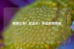 刚刚公布！证监会：依法实施接管-第1张图片-缙云县凯一电子科技有限公司