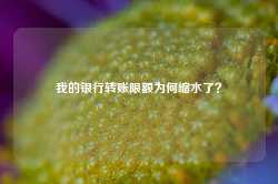 我的银行转账限额为何缩水了？-第1张图片-缙云县凯一电子科技有限公司