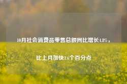 10月社会消费品零售总额同比增长4.8%，比上月加快1.6个百分点-第1张图片-缙云县凯一电子科技有限公司