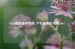 CACI国际盘中异动 下午盘股价大跌5.04%-第1张图片-缙云县凯一电子科技有限公司